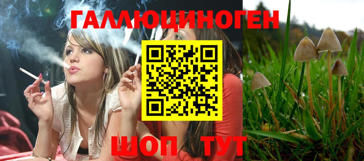 Галлюциногенные грибы прущие грибы  Вход с VPN  Ишимбай 